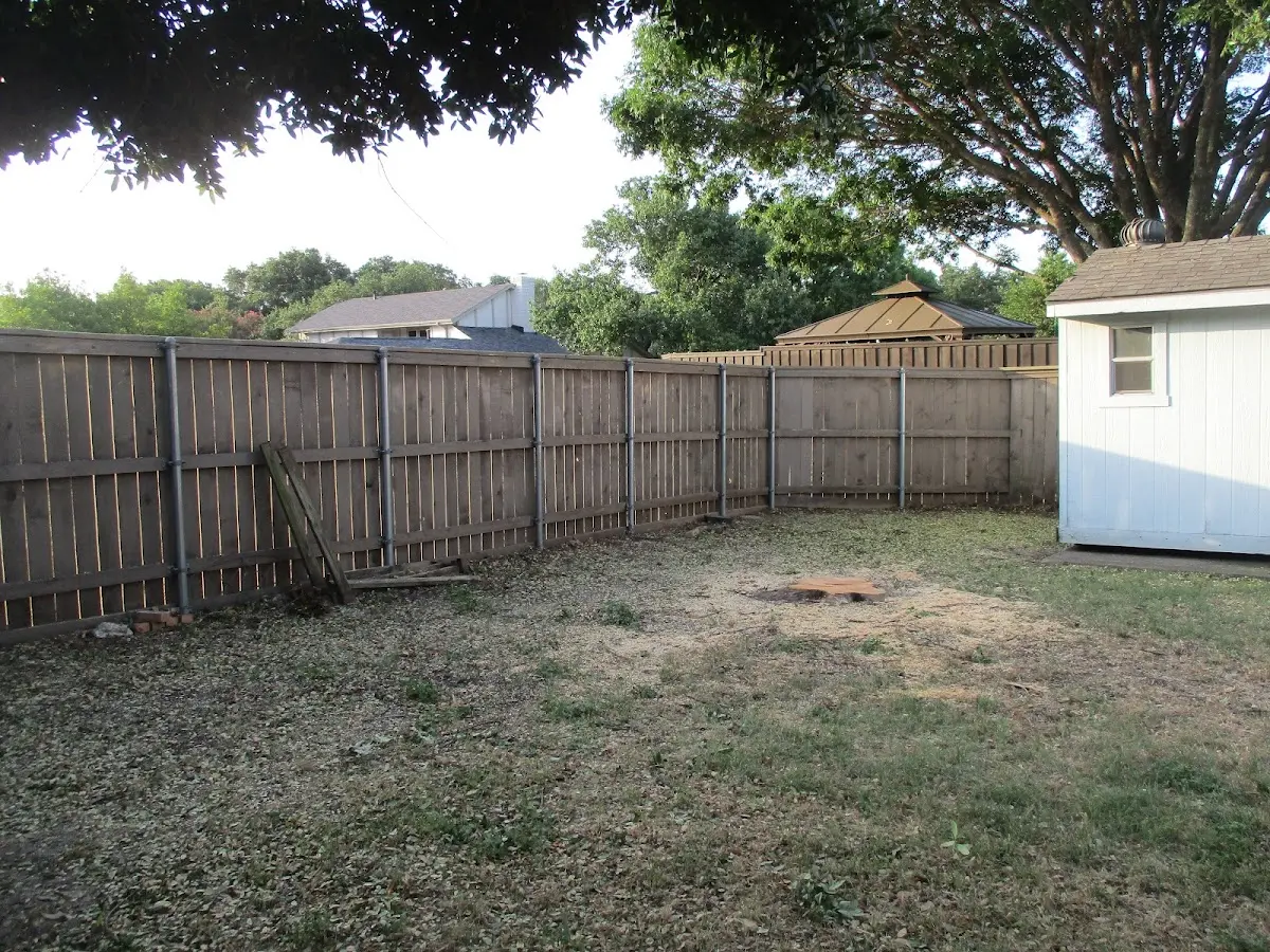 Cleared yard after professional tree removal in Rocky Hill