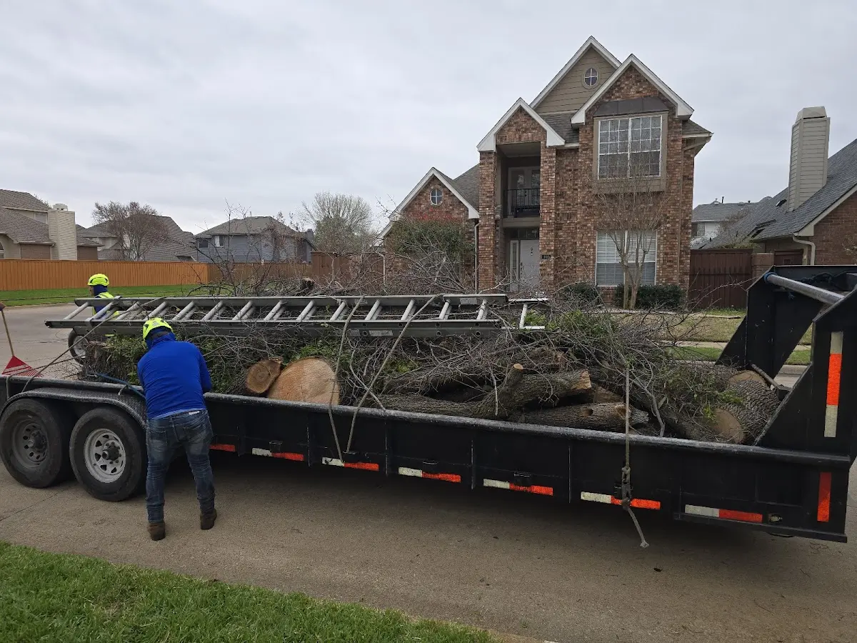 Expert Tree Fertilization with proper safety equipment in Rocky Hill